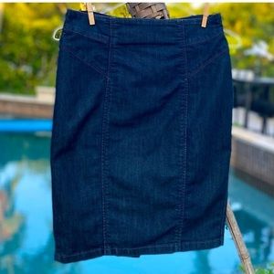 Ann Taylor Dark Blue Pencil Skirt